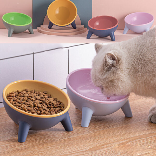 Cat Dog Bowl With Stand Pet Feeding Food Bowls Dogs Bunny Rabbit Nordic Color Feeder